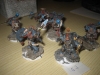 Space Wolves Terminatoren (Doupona)