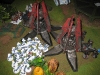 Imperium gegen Space Marines