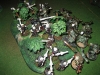 Rumble in the jungle
