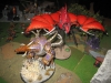 Chaos + Tyraniden ... würg