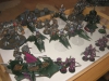 Dark Eldar (Hmpf) und Grey Knights (Janko)