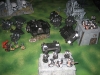 Black Templars (Fiedler Maxi)