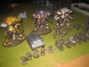 Space Marines/Knights (Walker1918 - Bemalsieger)