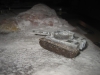 Tiger im Winter