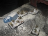 Die haben glatt noch Zeit für einen Schneemann !!