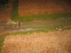 Wz.29 und Tankette erkunden die Felder