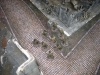 Stoßtrupp in Stalingrad