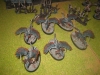 Die Raptoryxe
