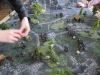 Stand-off in den Wäldern