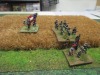 Weitere Infanterie quält sich durchs hohe Weizenfeld
