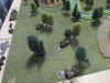 Die 21. Panzer versteckt im Wald