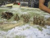 SAGA-AoH: Römer (Erion10)