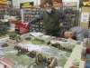 Der gallische Kriegsherr