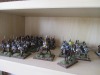 Das Neapolitanische Elite-Regiment von 1813, im ersten Lockdown 2020 umgebaut und bemalt