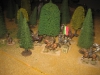 Und ab in den Wald